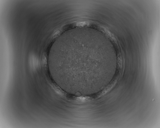 X0000116430375200912081529
