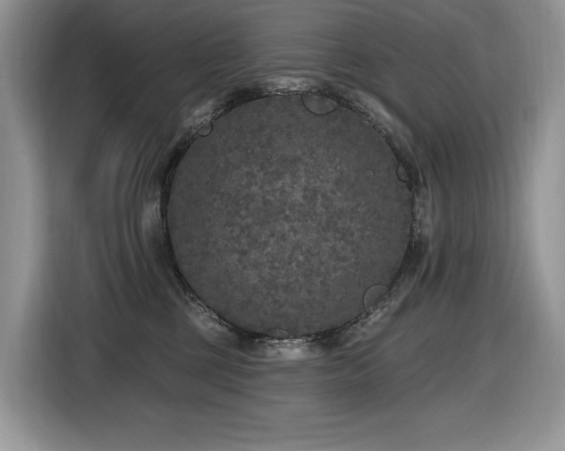 X0000116430377200912081529