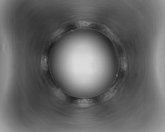 X0000116430378200912081529