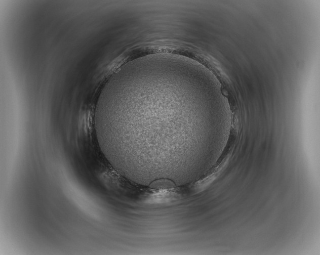 X0000116430382200912081529