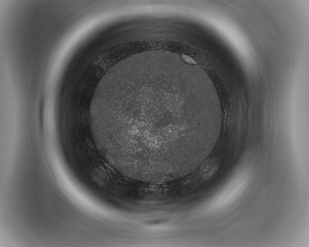 X0000116430383200912081529