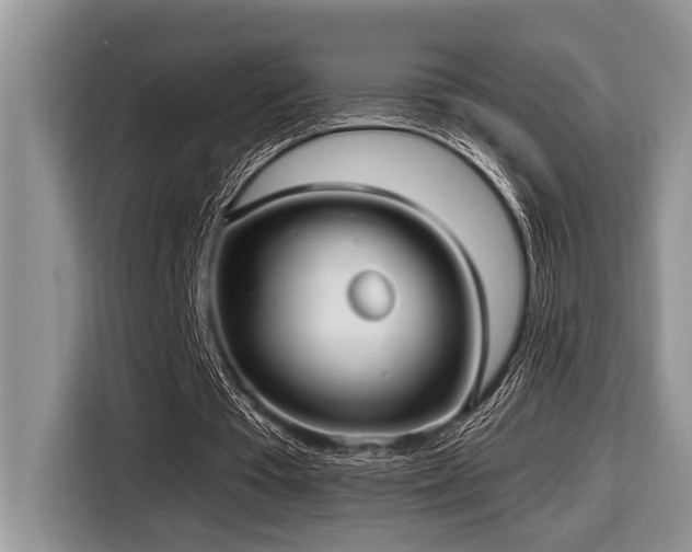 X0000116430385200912081529