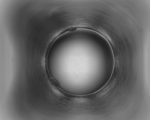 X0000116430389200912081529