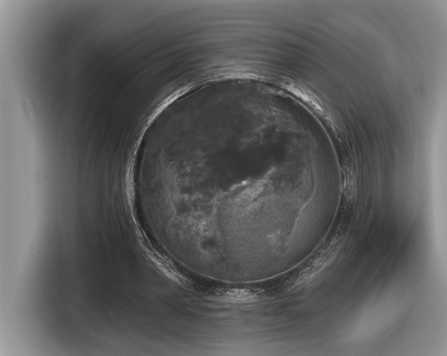 X0000116430390200912081528