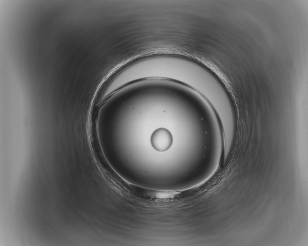 X0000116430391200912081528