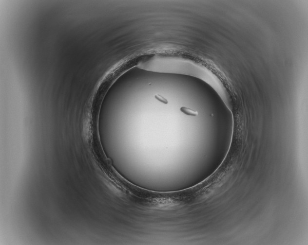X0000116430392200912081528