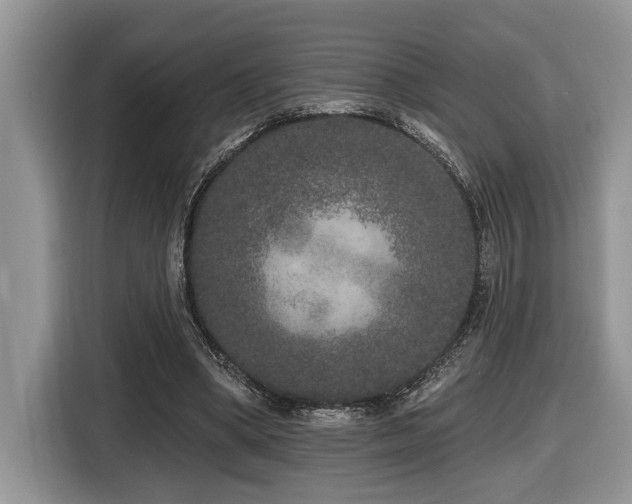 X0000116430394200912081528
