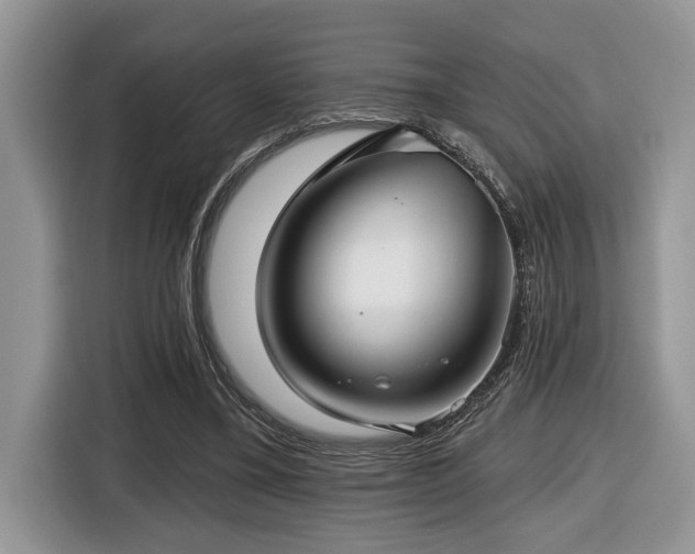 X0000116430395200912081528