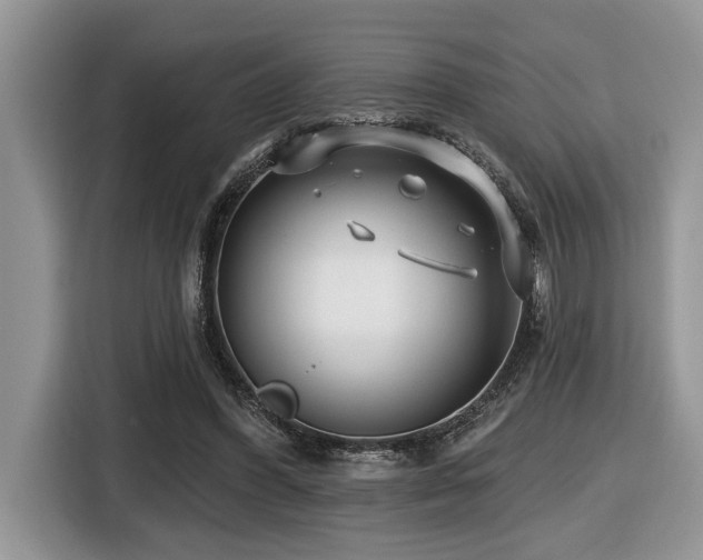 X0000116430396200912081528