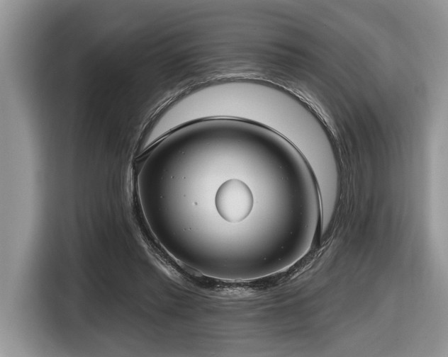 X0000116430397200912081528