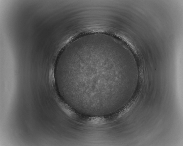 X0000116430398200912081528