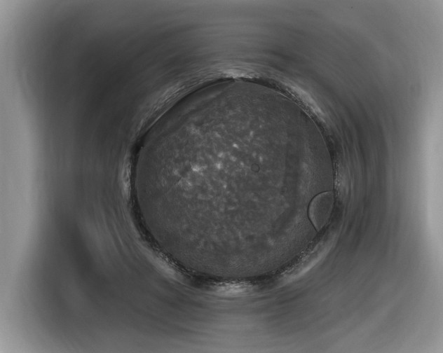 X0000116430402200912081528