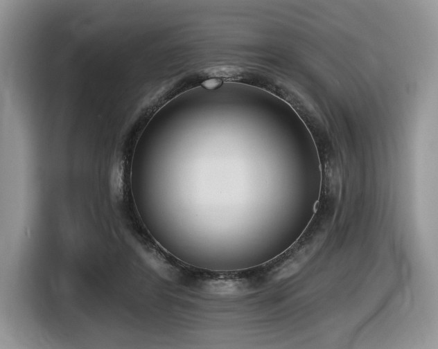 X0000116430404200912081528