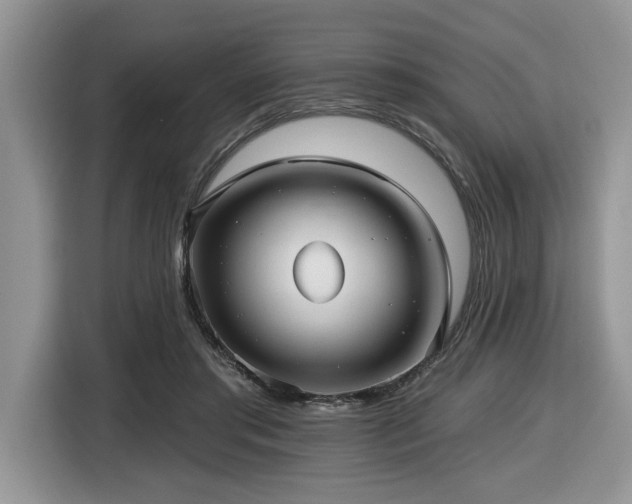 X0000116430405200912081528