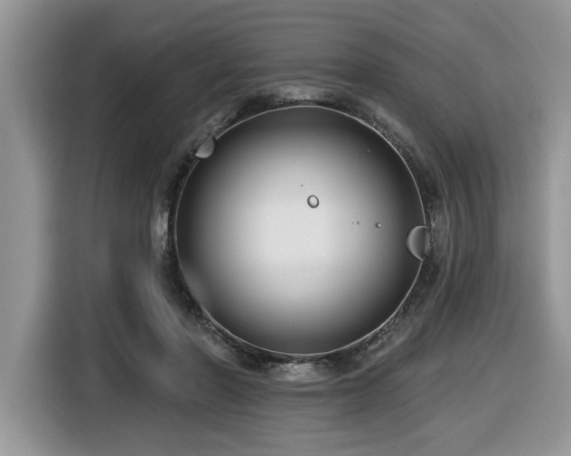 X0000116430406200912081528