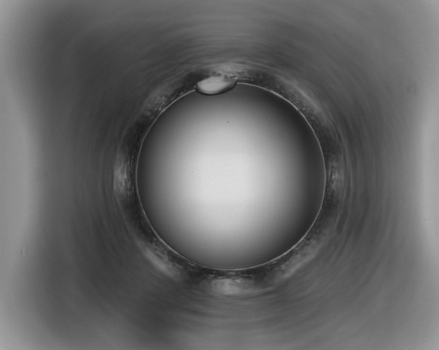 X0000116430408200912081528