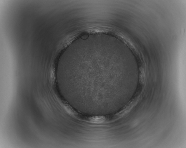 X0000116430410200912081528