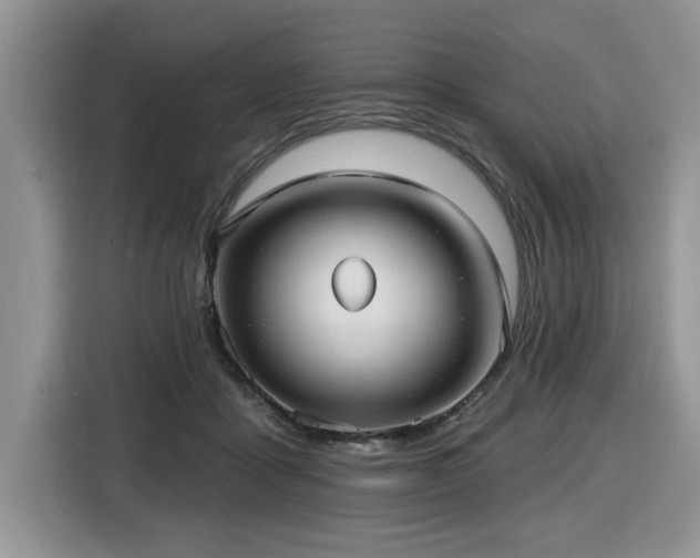 X0000116430411200912081528