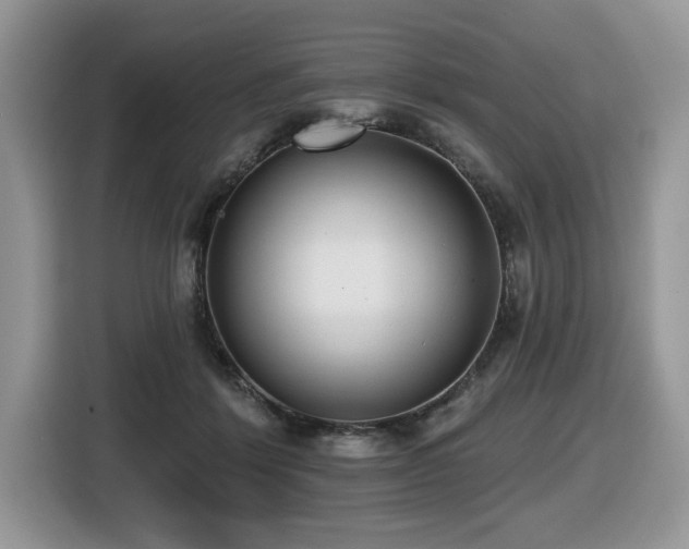 X0000116430412200912081528