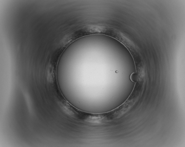 X0000116430414200912081528
