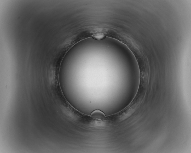 X0000116430416200912081528