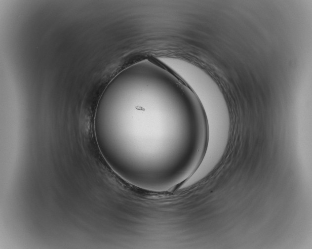 X0000116430417200912081528
