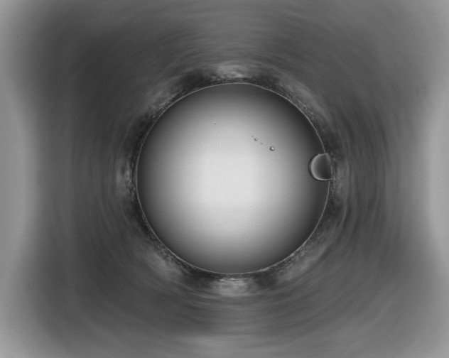X0000116430418200912081528