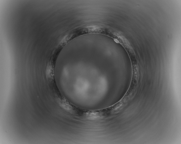 X0000116430419200912081528