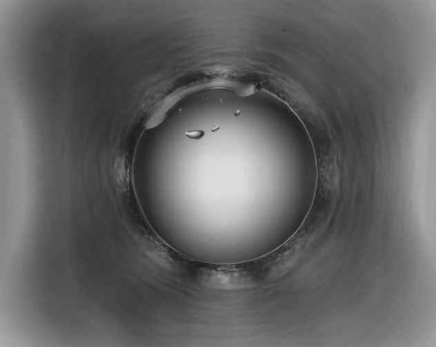 X0000116430420200912081528