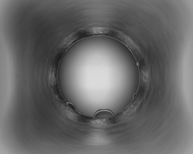 X0000116430422200912081528