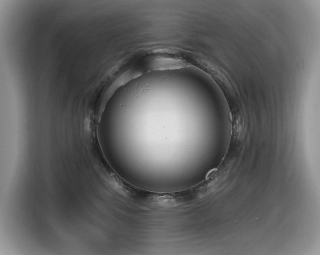 X0000116430424200912081528