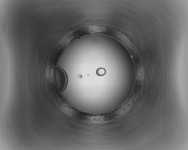 X0000116430426200912081528