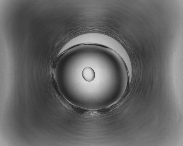 X0000116430427200912081528