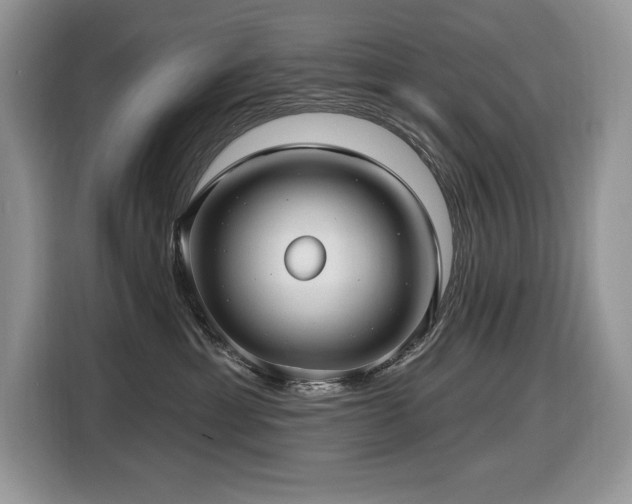 X0000116430429200912081528