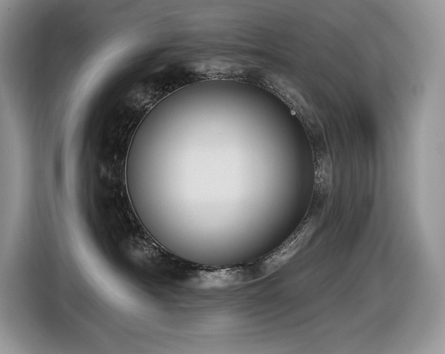 X0000116430430200912081528