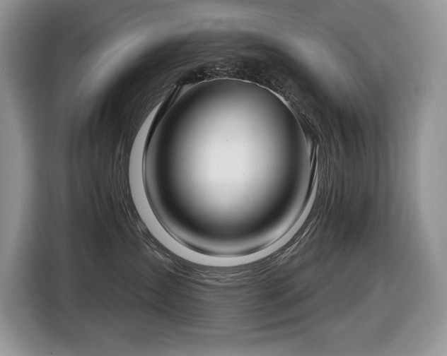 X0000116430431200912081528