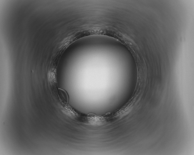 X0000116430432200912081528