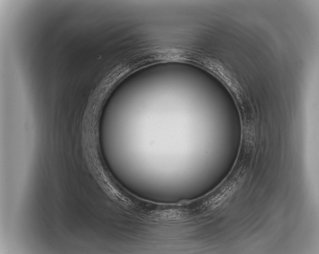 X0000116430433200912081527