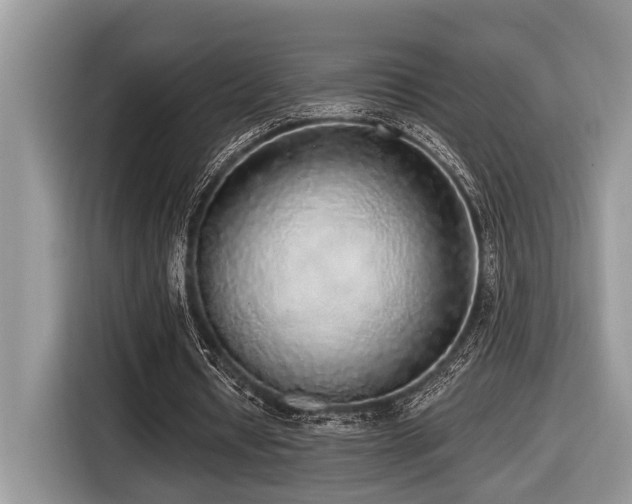 X0000116430434200912081527