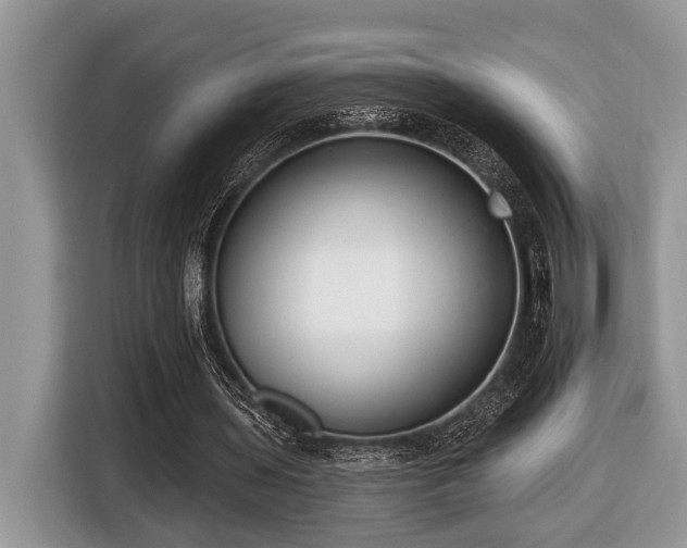 X0000116430435200912081527