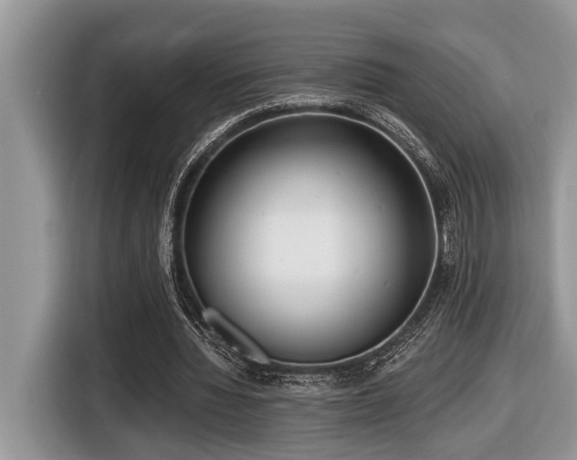 X0000116430436200912081527