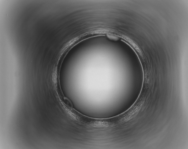X0000116430437200912081527