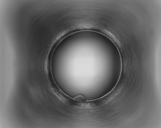 X0000116430439200912081527