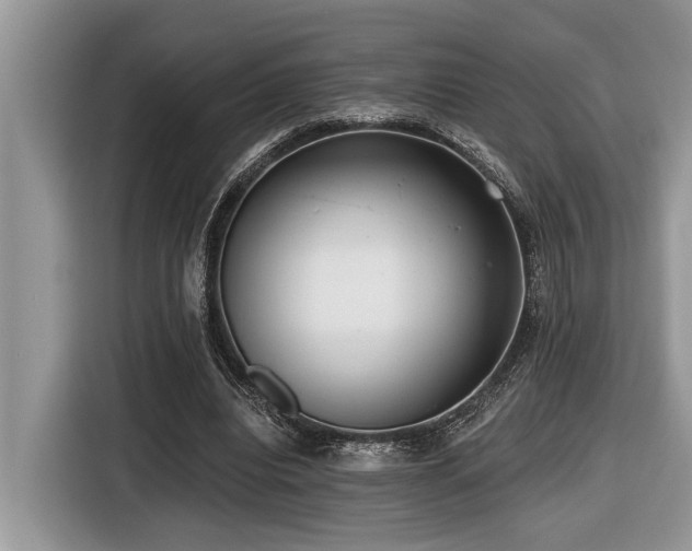 X0000116430440200912081527