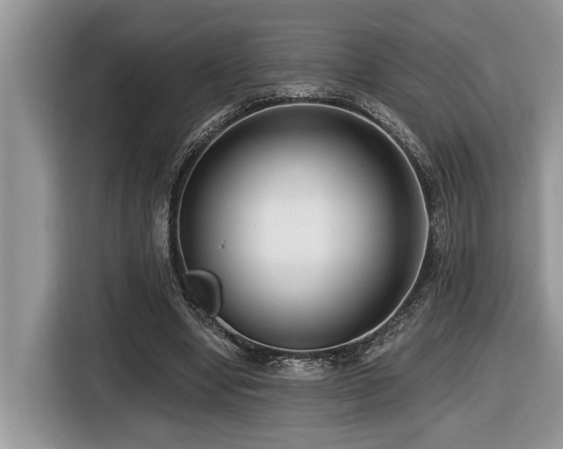 X0000116430442200912081527