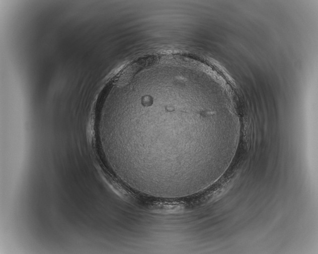 X0000116430443200912081527