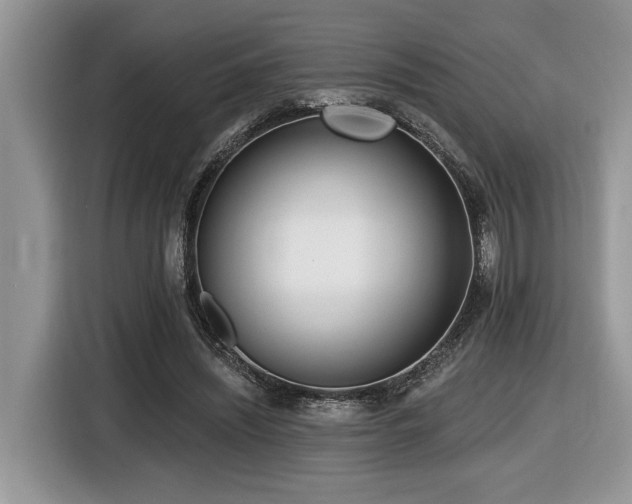 X0000116430444200912081527