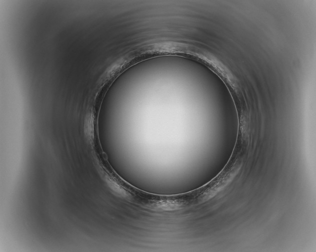 X0000116430445200912081527