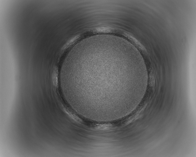 X0000116430446200912081527