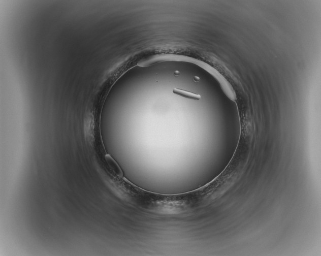 X0000116430448200912081527